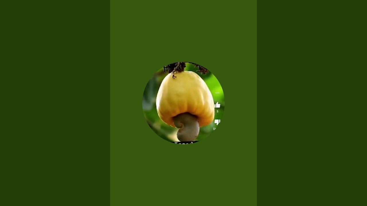 கிராமத்துபையன் 1 is live