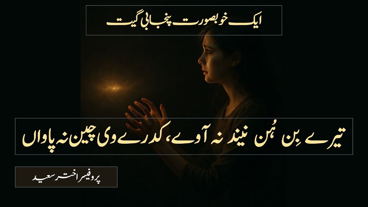 Tery bin hun chain na aavay | تیرے بِن ہُن چین نہ آوےؔ | a melodious punjabi song