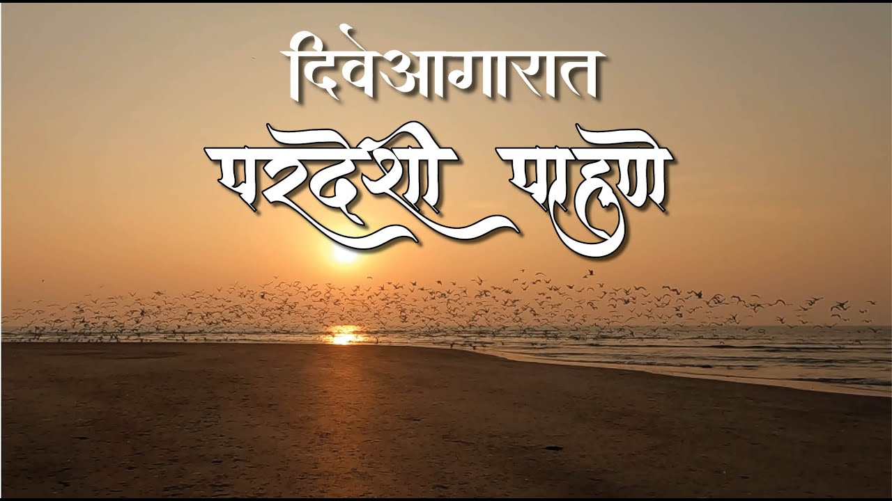दिवेआगारात परदेशी पाहुणे ।। dive agar bird ।। bird watching in konkan