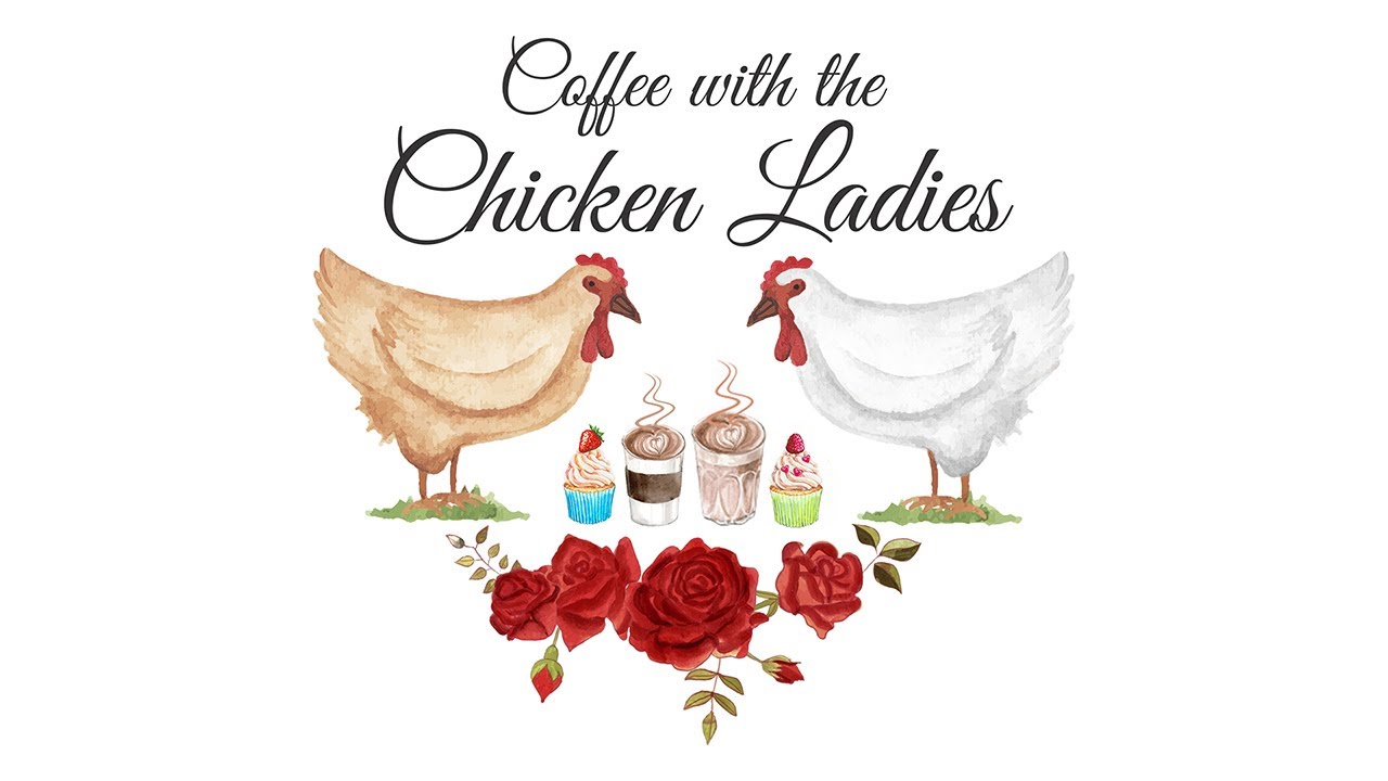 Episode 28 - Isbar Chicken / Hen's Reproductive System / Therapy Chickens Art