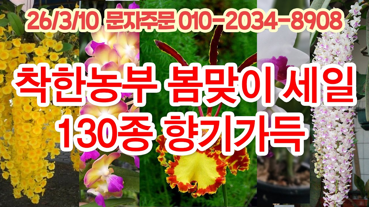 3월 10일 봄맞이 기념 130종 향기가득 판매방송