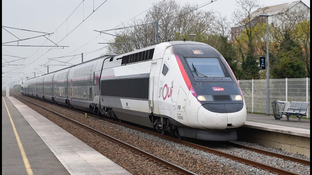 TGV Inoui, TER, trains de fret, RER D en ile de France et en Charente Maritime ( La Rochelle )