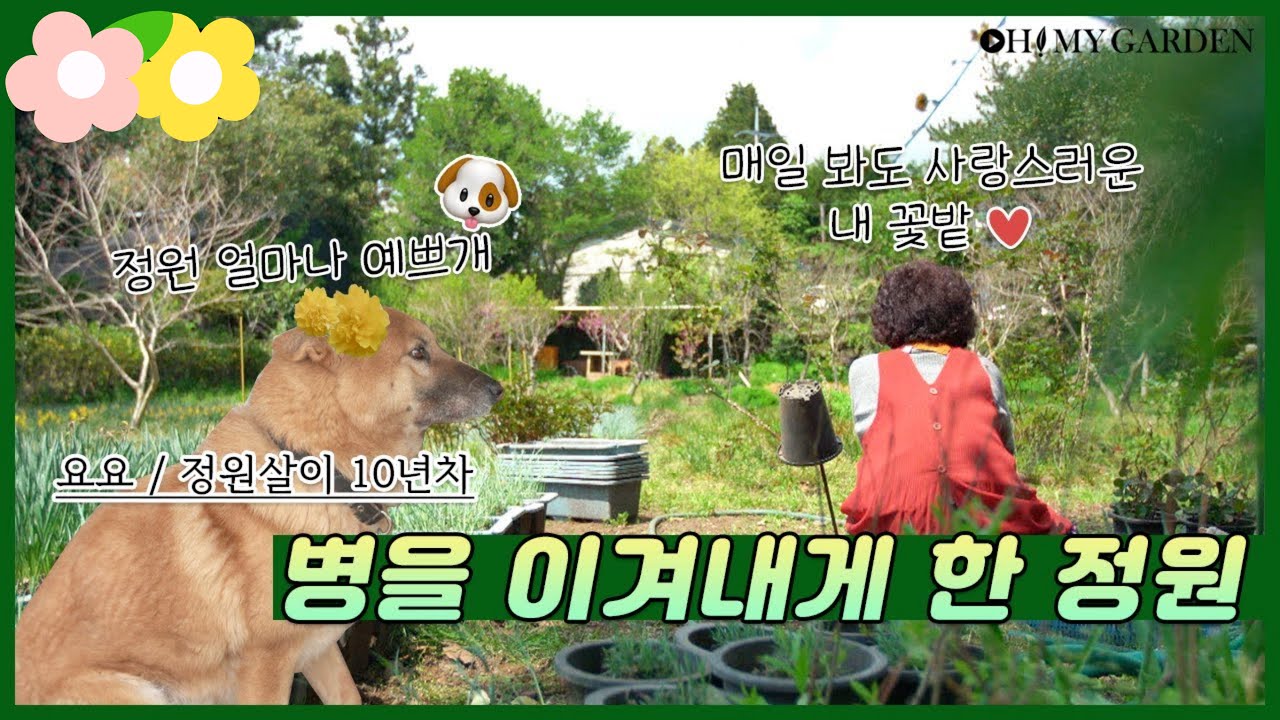 행복한 애자 씨의 즐거운 정원 A garden full of Happiness | 정원의 발견 Wonders of Garden | KBS제주 20210423 방송