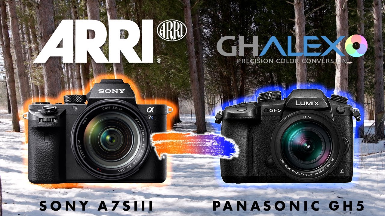 Arri Alexa Colors on Sony A7SIII and Panasonic GH5 | Emotive Color LUTS