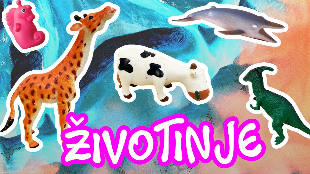 RAZNE ŽIVOTINJE - Na srpskom jeziku - Za decu - Domaće, divlje i morkse životinje - Dinosaurusi