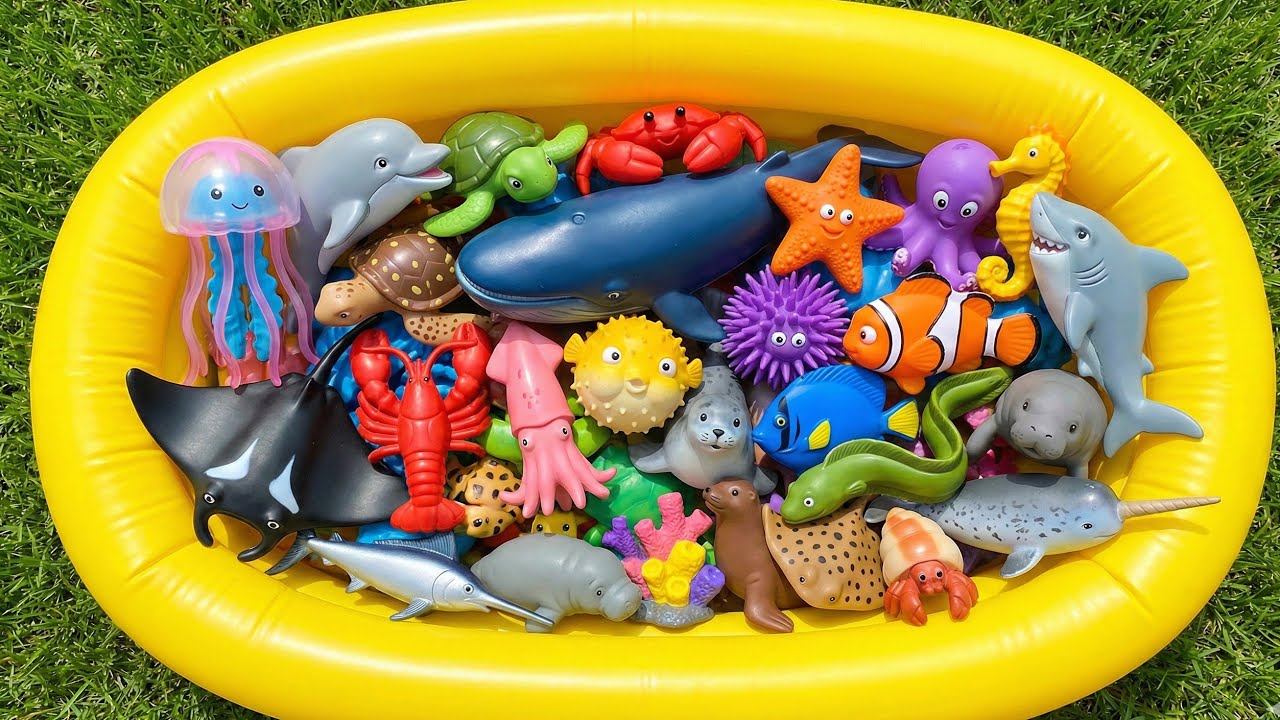 Learn Sea Creatures Name for kids at The Balloon Pool: Jellyfish,Dolphin,Crab,Blue Whale,Starfish