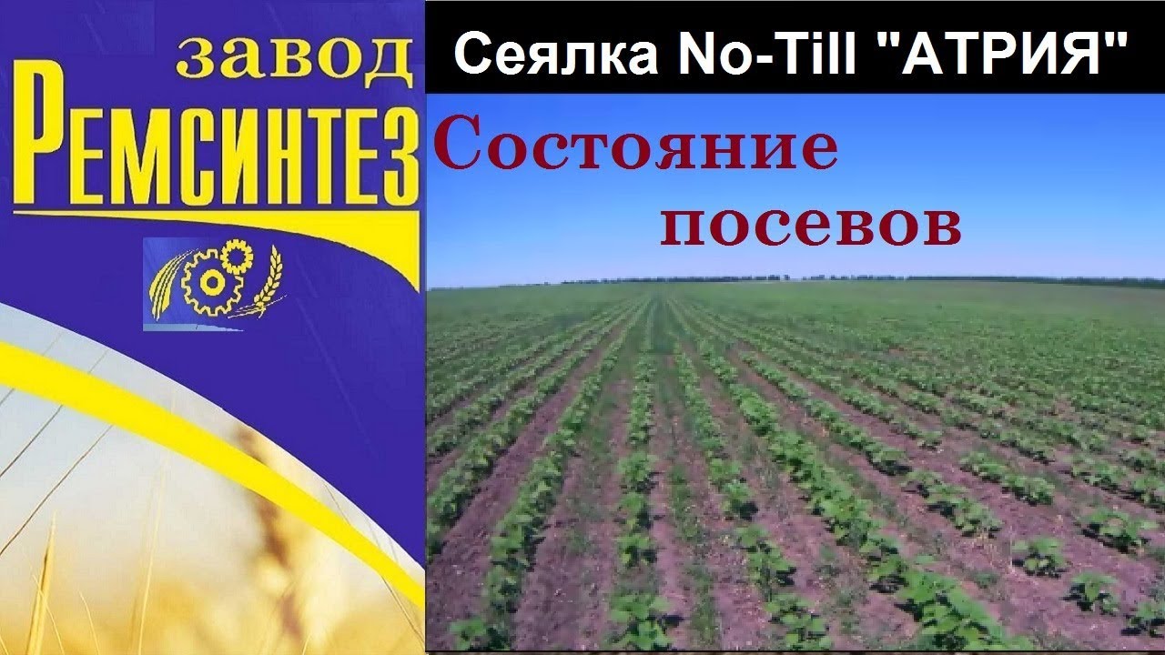 Сеялка No-Till 