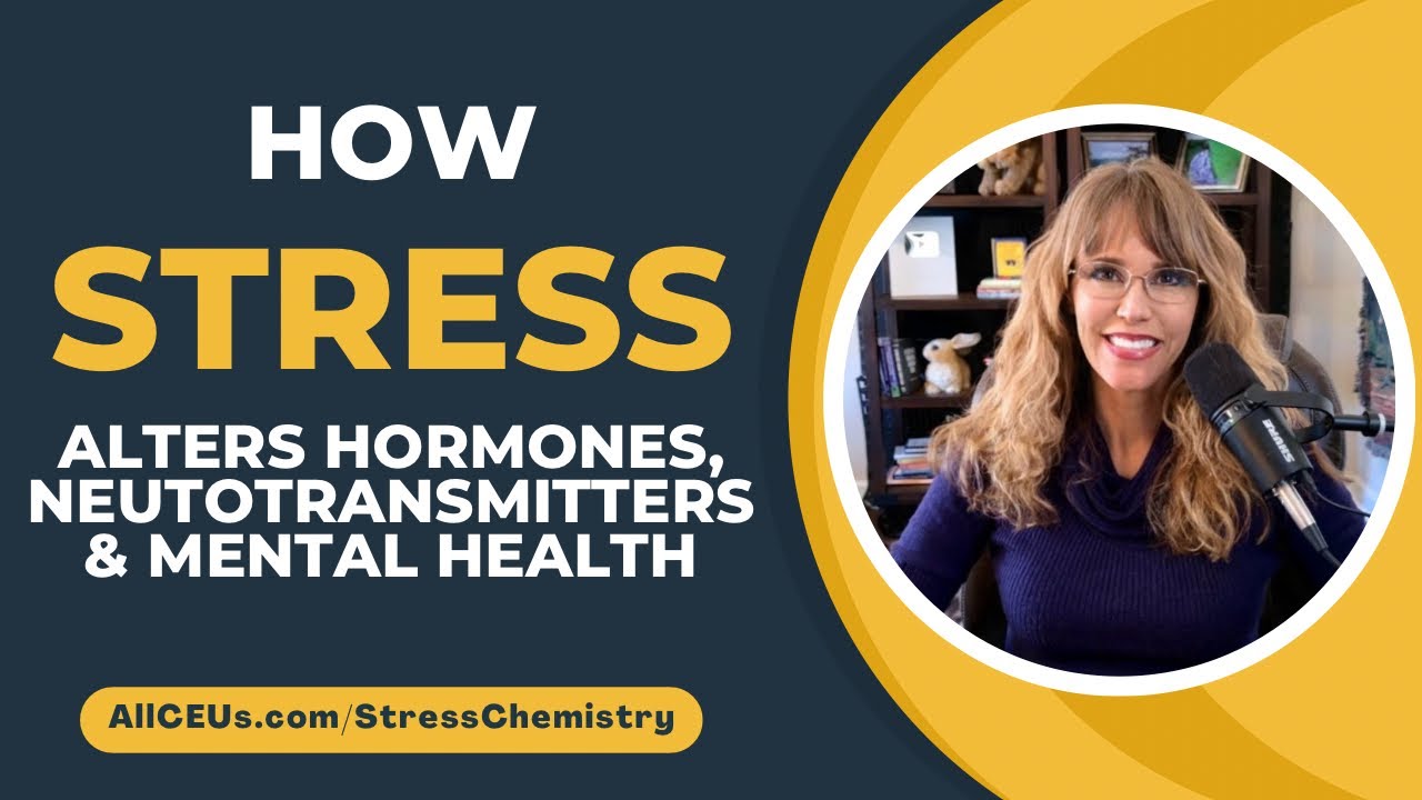 How Stress Alters Hormones, Neurotransmitters & Mental Health