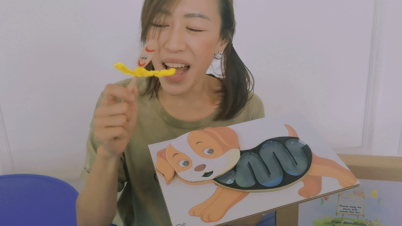 Fun Mandarin EVALUATION - Help This Puppy!