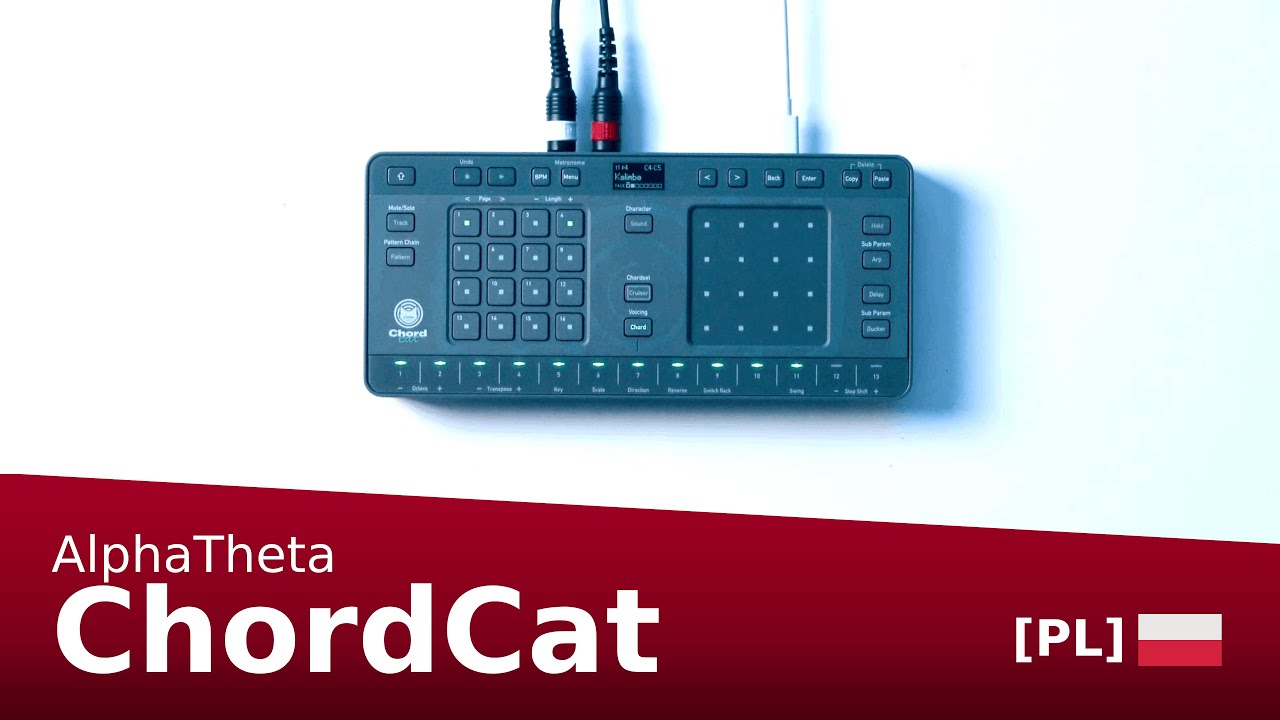 djproTV - AlphaTheta ChordCat - polska recenzja / test