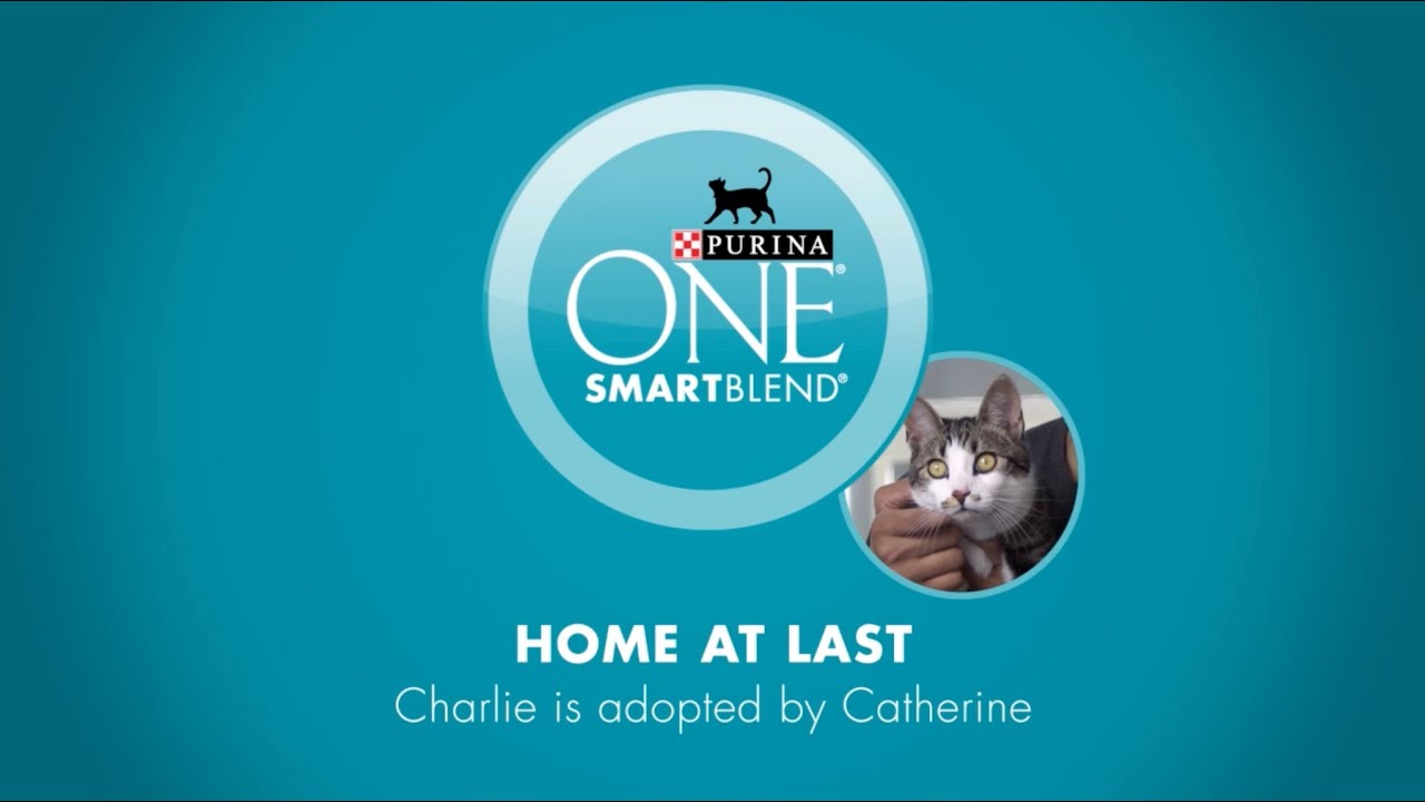 Cat Adoption Stories - Catherine and Charlie - Purina ONE&reg;