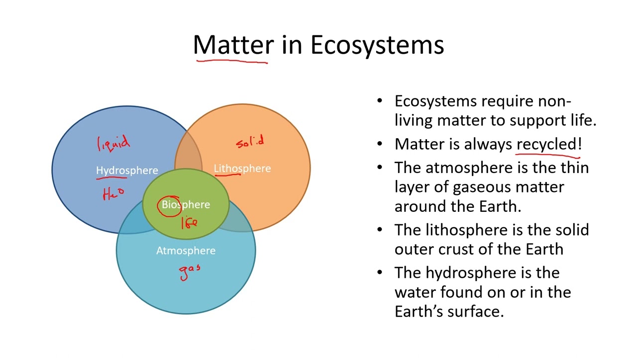 Ecology Lesson 01: Ecosystems