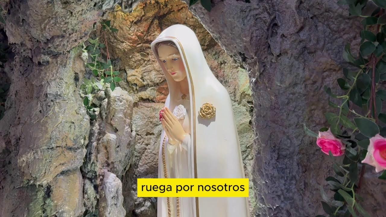 Santo Rosario-Para Iniciar el Día-Misterios Luminosos-12/02/2026.