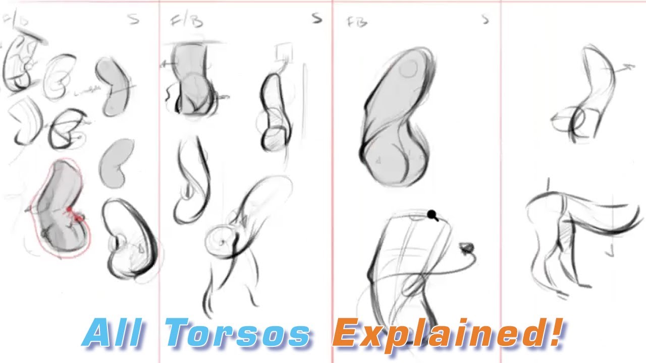 Draw Different Torso Types with FORCE