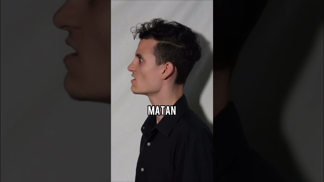 Longneck makes his second appearance on The Matan Show #Matan #Mataneven #Longneck