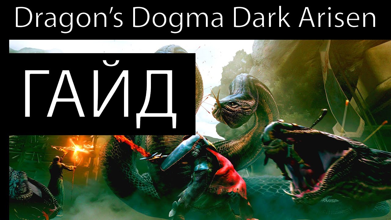 Вам лень разбираться в Dragon's Dogma: Dark Arisen