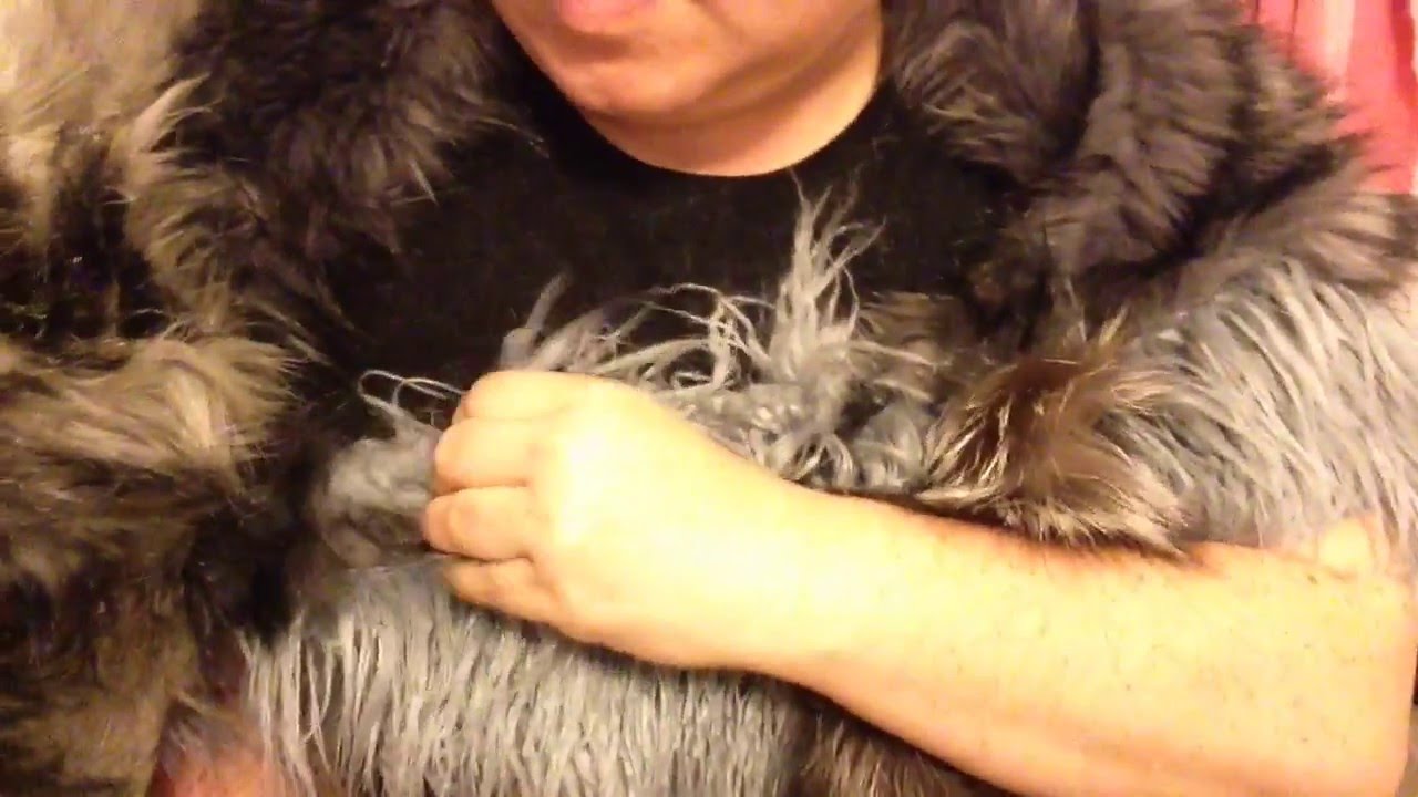 Wolf cloak