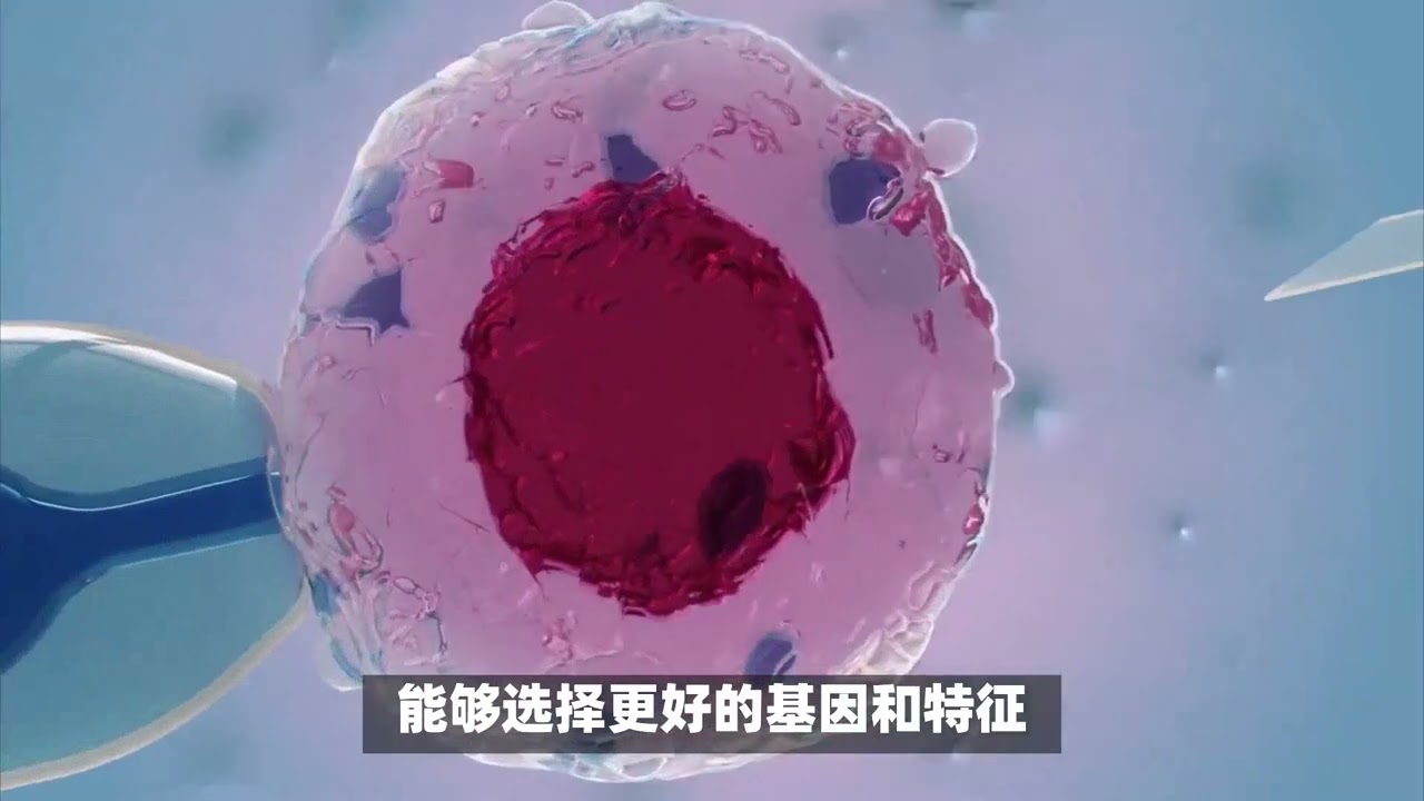 宝宝灯塔科普试管婴儿可以直接做第三代吗？二代能否成功？