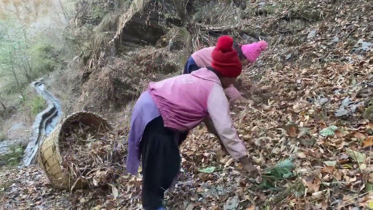 GHAUMA HAMROSEROFERo  DAINIKE DINCHARE #newvideo #keeploving #goviral #nature 🇳🇵🙏🏻🙏🏻