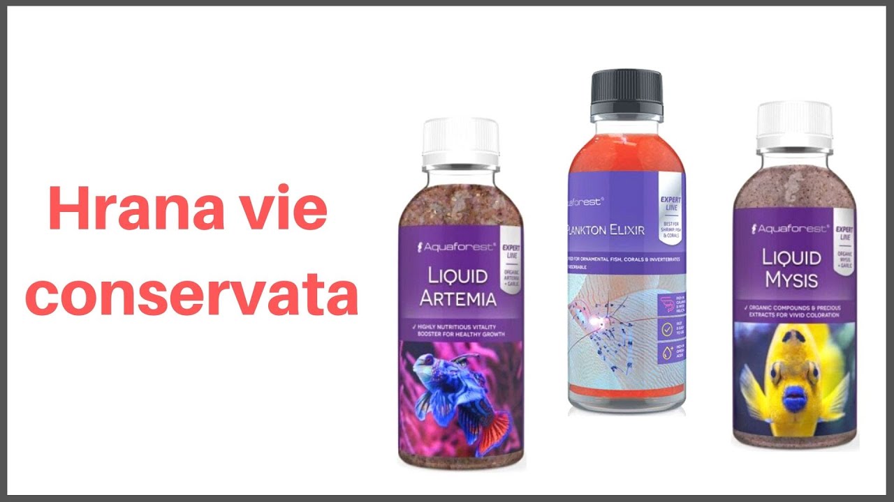 Hrana vie conservata / Canned live food