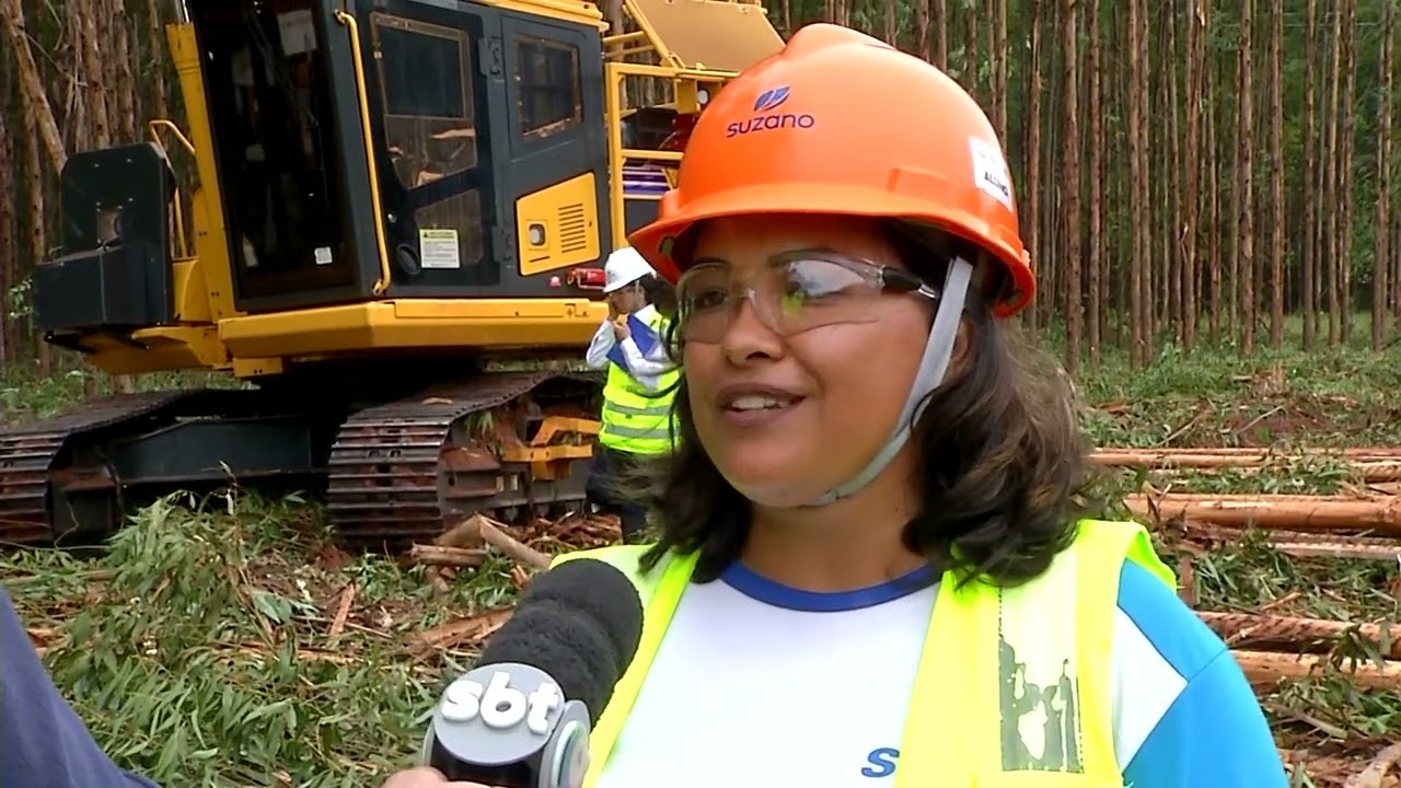 O agronegócio de MS não para de crescer, pessoas trocam o emprego da cidade pelo trabalho no campo