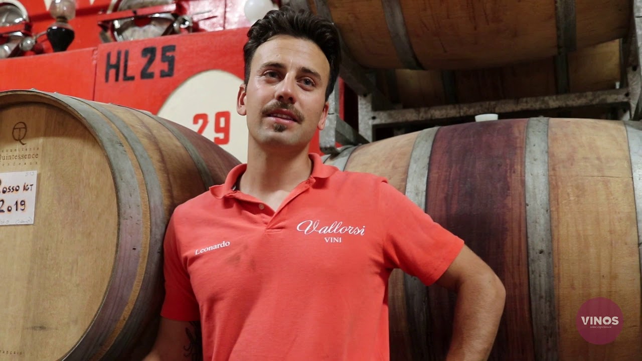 In Giro per Cantine - Azienda Agricola Vallorsi, Vino Chianti delle Colline Pisane