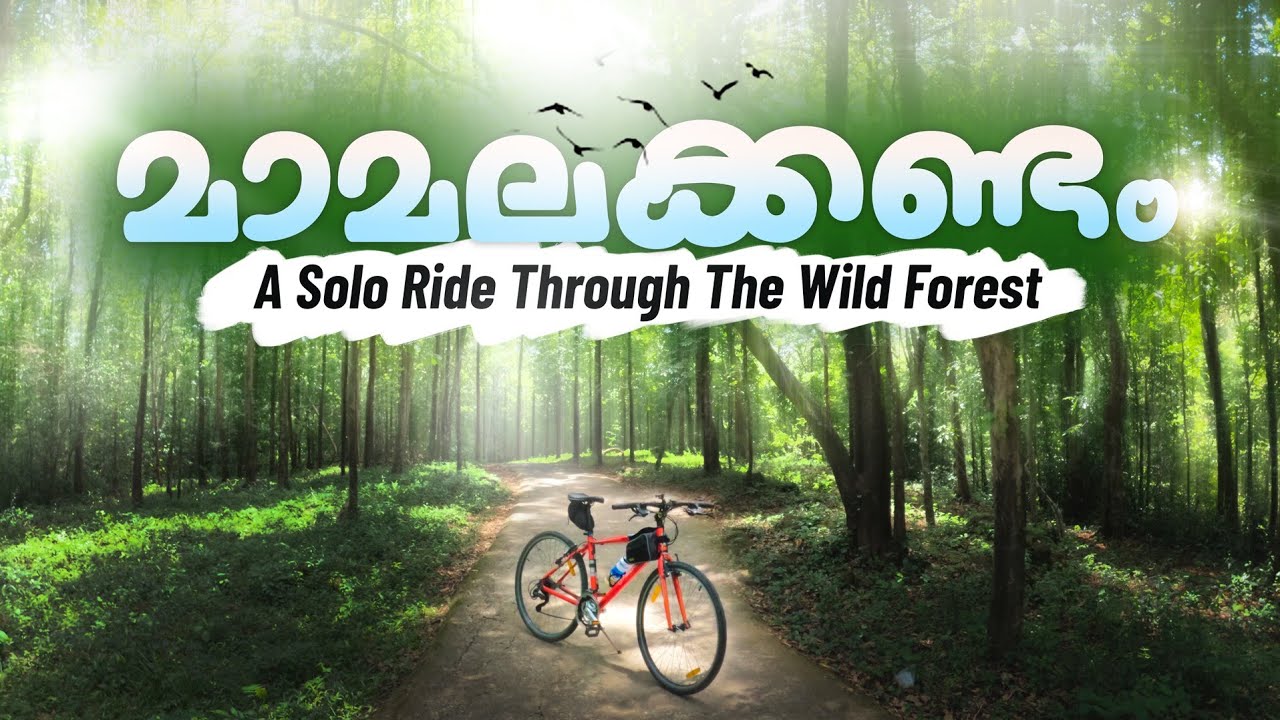 കാട്ടിലൂടെ ഒറ്റക്ക് ഒരു സൈക്കിൾ യാത്ര/ Mamalakandam Forest/ Solo Cycle Ride/ Malayalam travel vlog