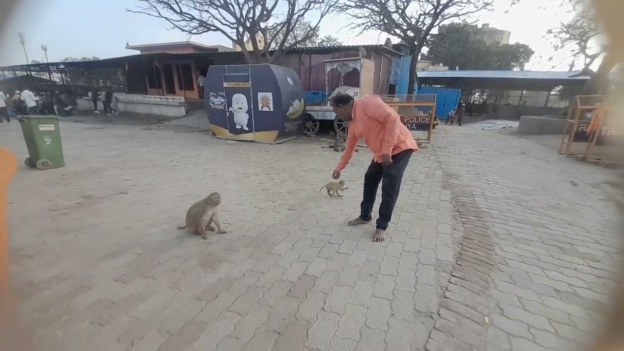 अयोध्या धाम 