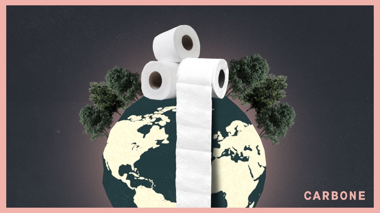 Carbone | L’empreinte écologique du papier de toilette
