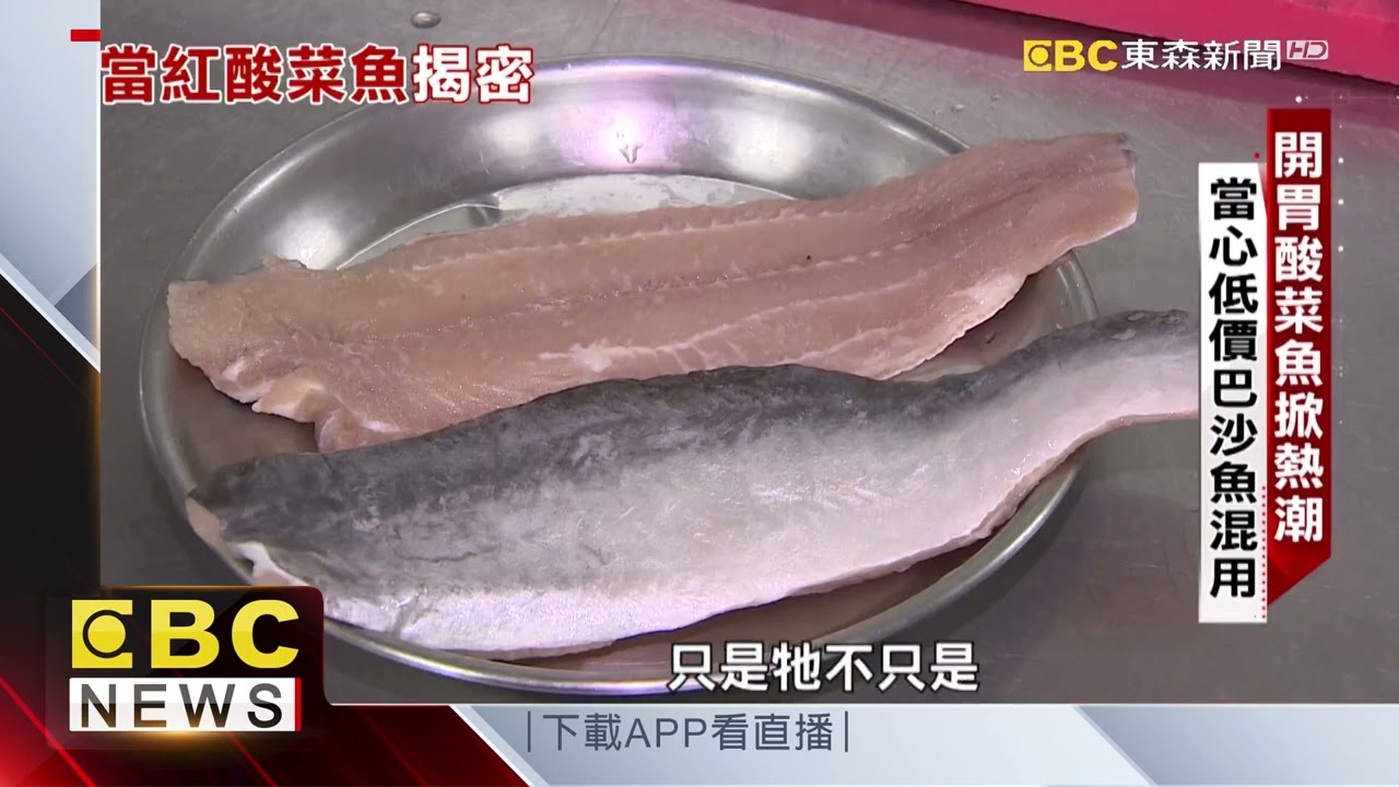 【聚焦真相】開胃酸菜魚紅翻天 當心混用低價巴沙魚 范繼文 曾于馨 採訪報導 @newsebc