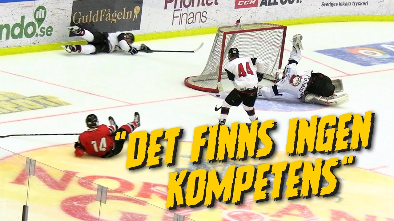 22 sopor spelar en hockeymatch (med kommentator)