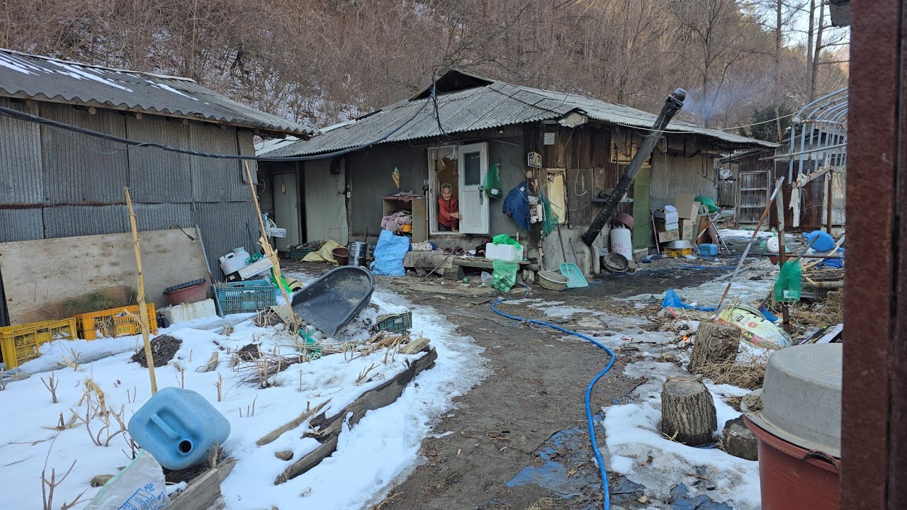 텅빈 산골마을 98세 태백출신 할머니 친구하나 없으시다 인사차 방문 ᆢ