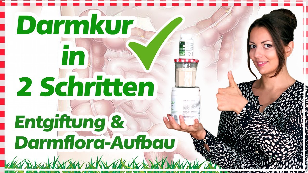 ✅🌿 ANLEITUNG DARMKUR / Darmsanierung mit Zeolith & Flohsamen | DARMFLORA AUFBAUEN mit Probiotika