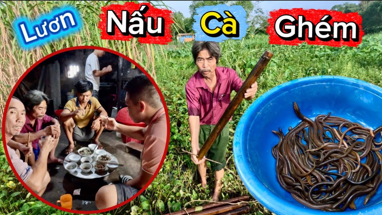 Xem Lại Video Đầu Tiên Đi Đánh Lươn Cùng Bác Thông Và Đây Cũng Là Lần Đầu Ăn Món Lươn Xào Cà Pháo