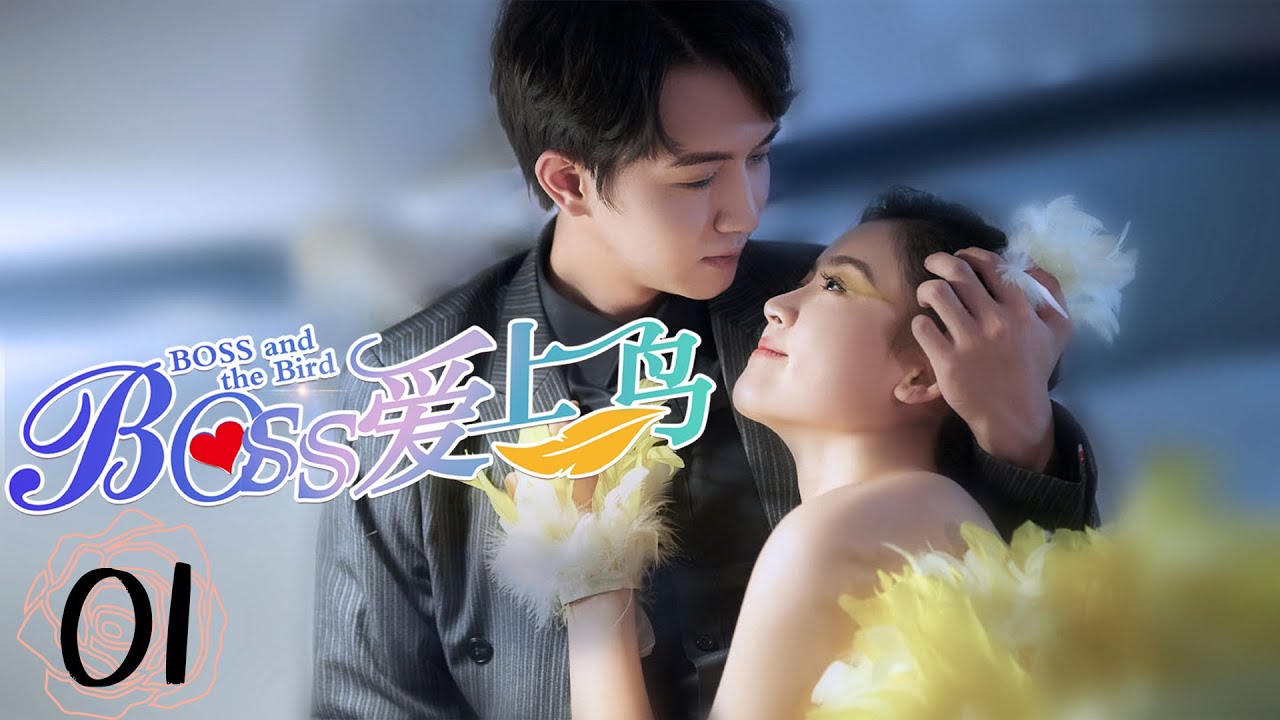 Boss and the Bird EP01 | BOSS爱上鸟