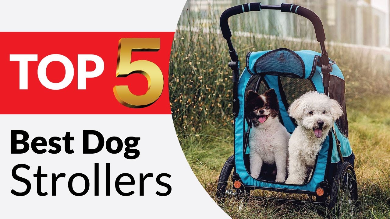 Top 5 Best Dog Strollers in 2026 [Buying Guide]