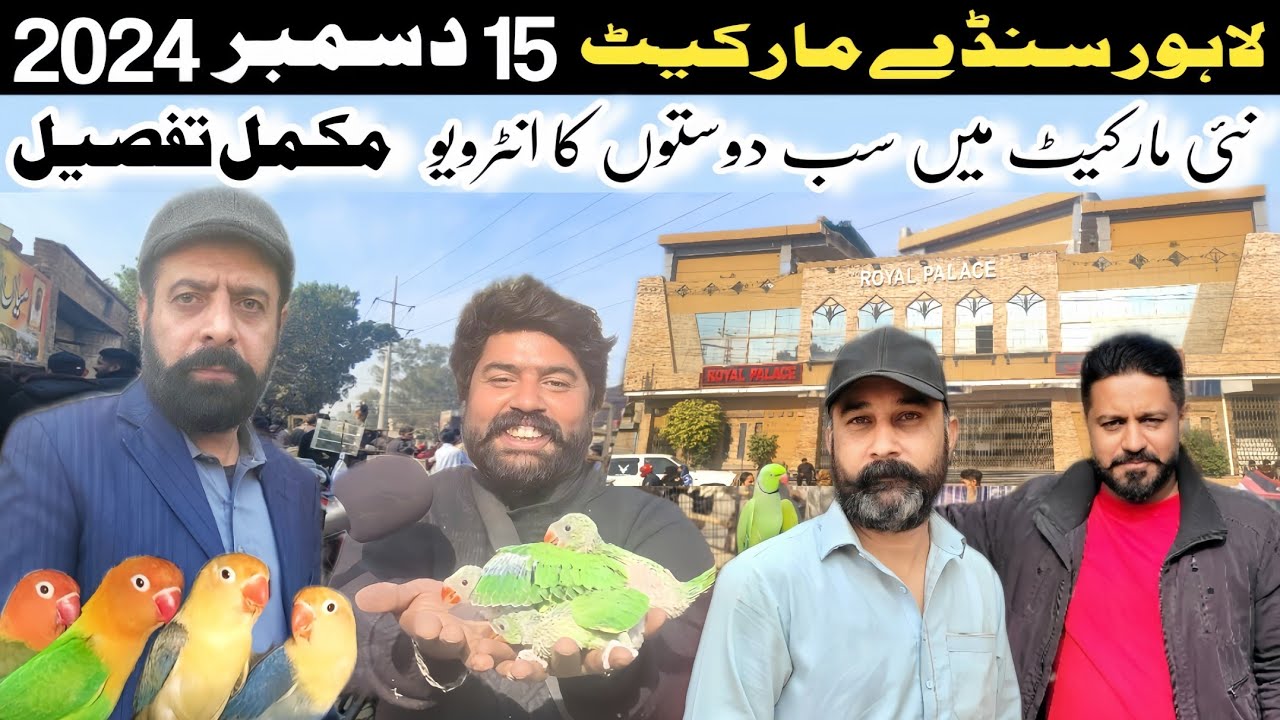 Sunday birds market latest update | sunday birds market lahore