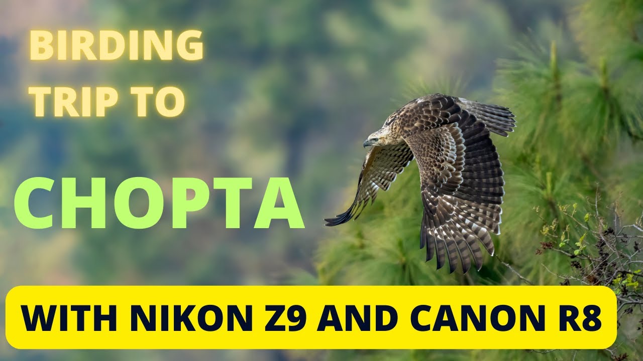 Birding Trip To Chopta With Nikon Z9 and Canon R8