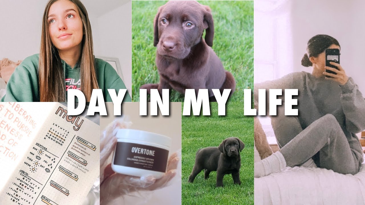 vlog : rainy day, dyeing my hair, starting a bullet journal + ab workout