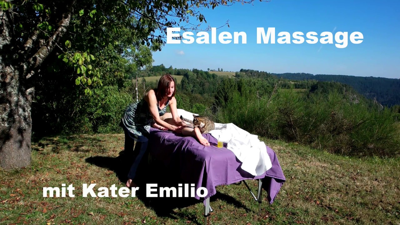 Esalen Massage 2016 mit Kater Emilio