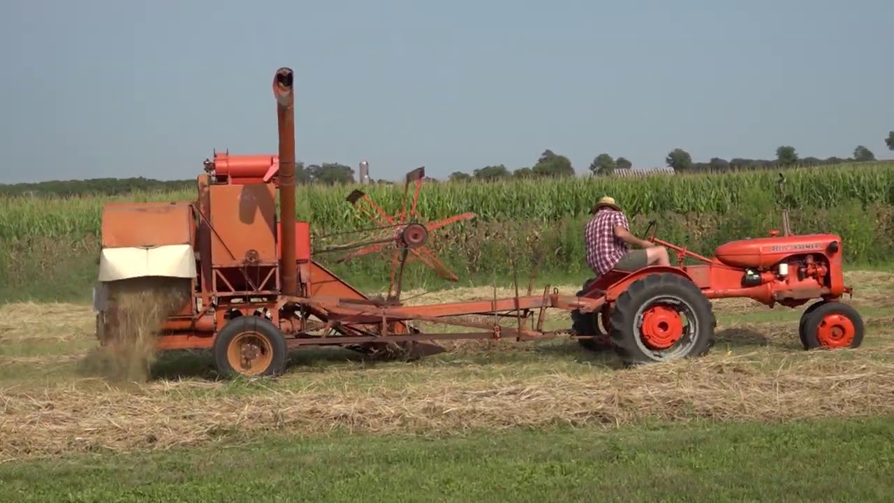 Harvesting Organic Oats!