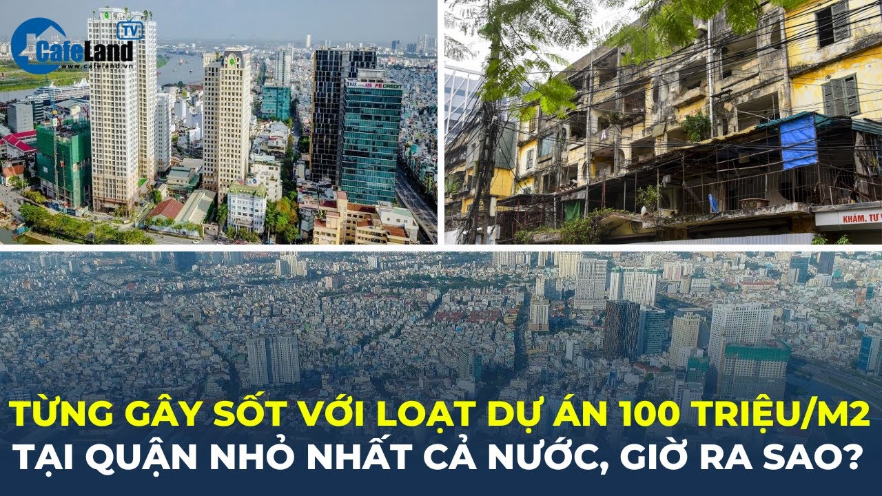 Từng gây 