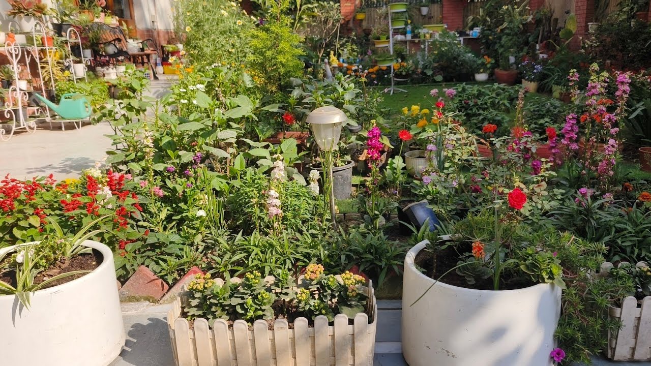 MARCH GARDEN INFORMATION  And GARDENING TIPS.
