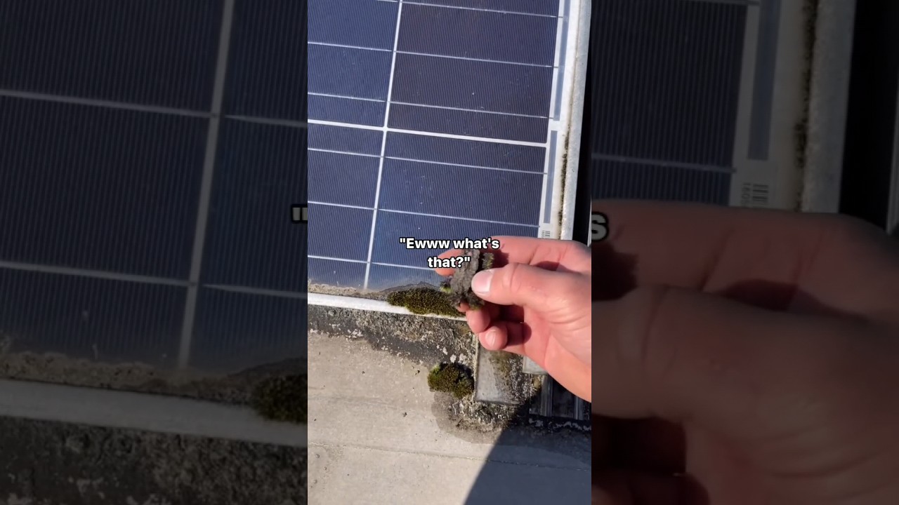 solar penal cleaning😲 