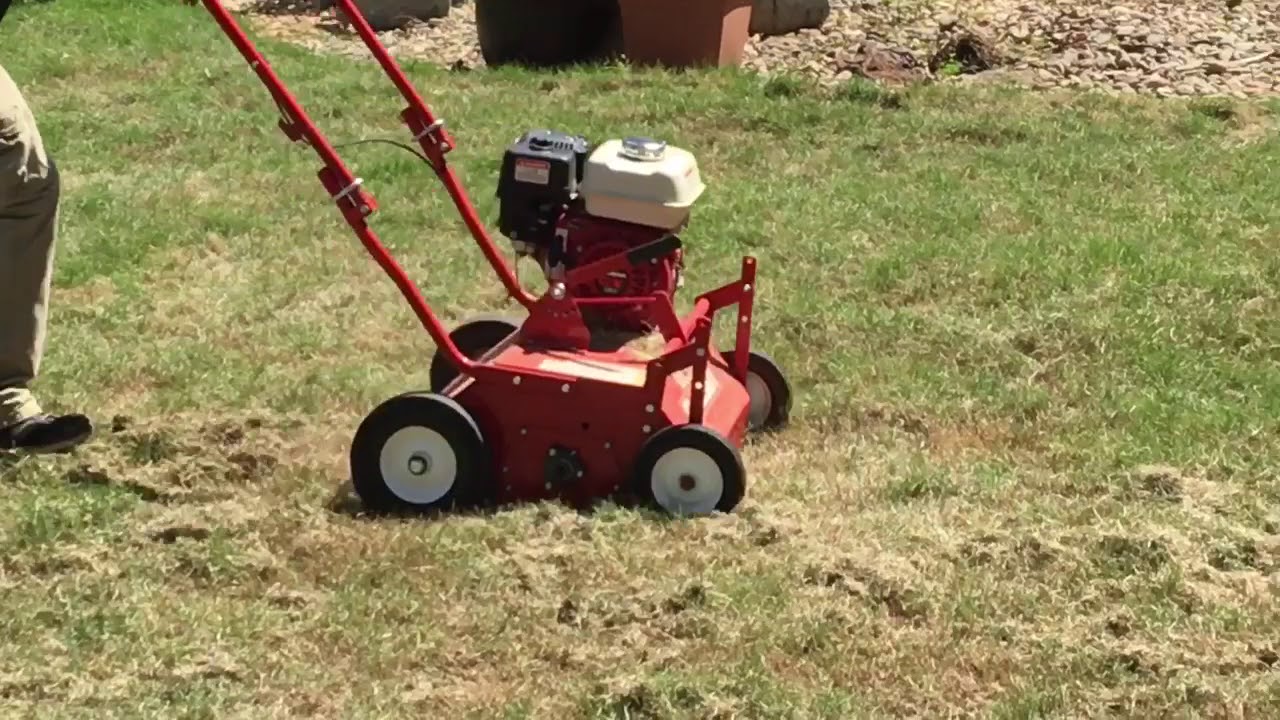 DETHATCHING ZOYSIA
