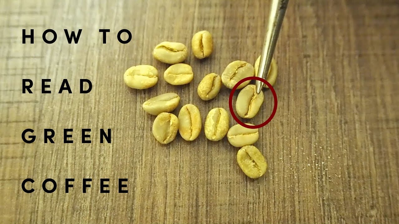 How to read the green coffee bean