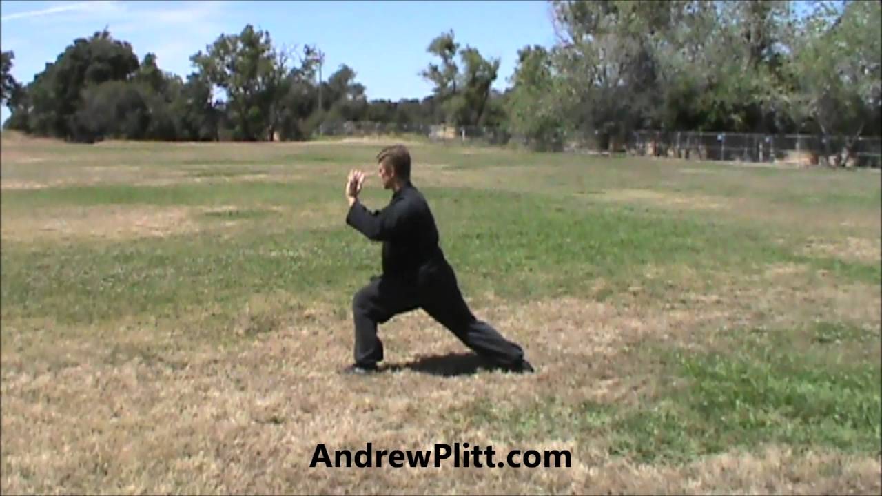 Chen Tai Chi: Old Frame First Form (Chen Taijiquan Lao Jia Yi Lu) - Back View
