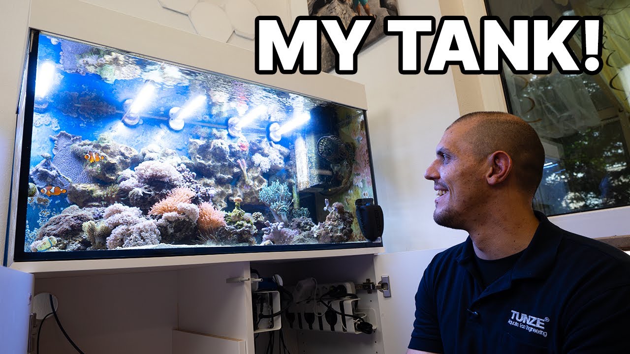 Felix Tunze's first aquarium?! - Tunze