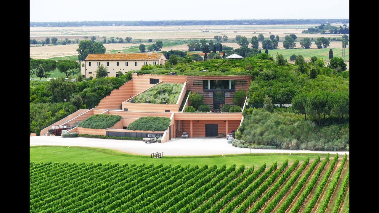 DAKU Italia - verde intensivo - Fattoria Le Mortelle (GR)