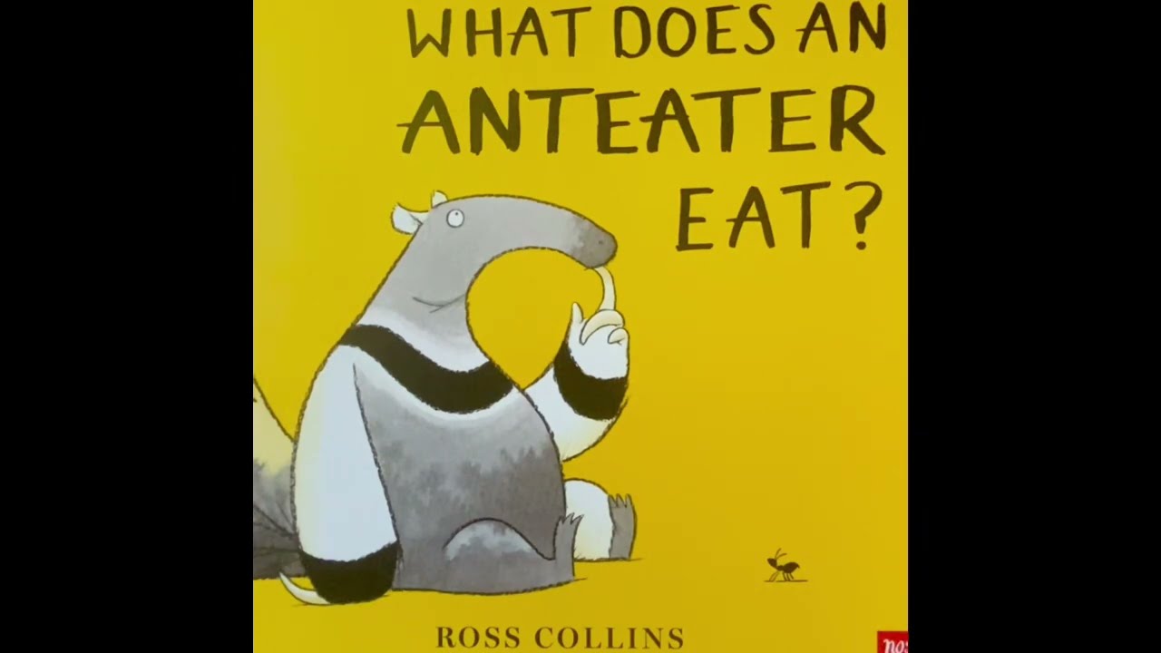 What Does an Anteater Eat? Read aloud